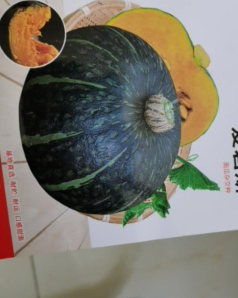 爱碧斯南瓜种子板栗味甜香糯四季种植大田种植