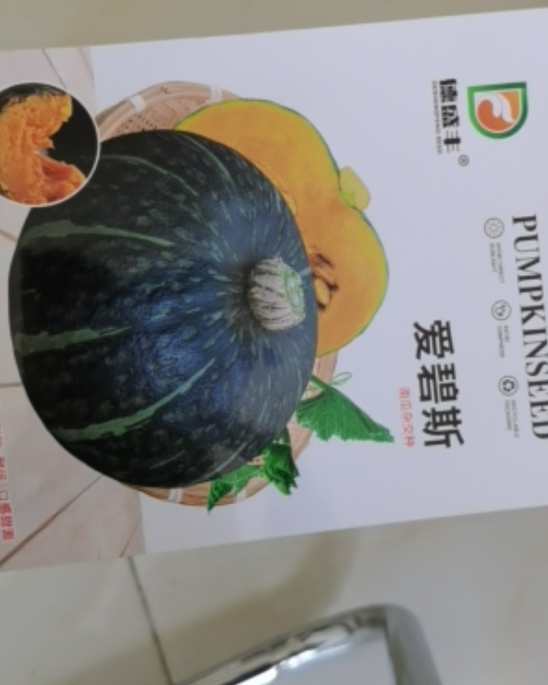 爱碧斯南瓜种子板栗味甜香糯四季种植大田种植