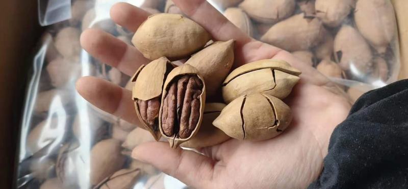 精品碧根果薄壳颗粒饱满奶油味高品质整箱发货量大联系客服