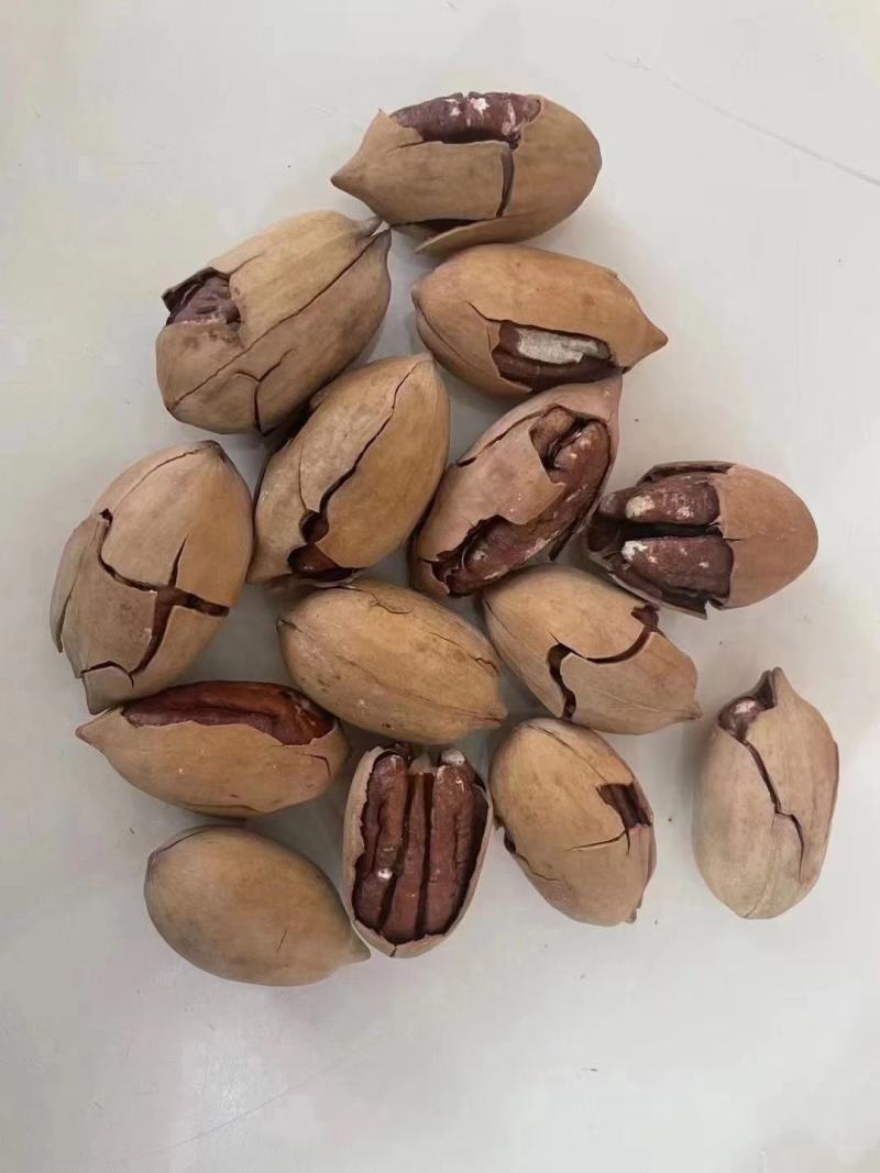 精品碧根果薄壳颗粒饱满奶油味高品质整箱发货量大联系客服