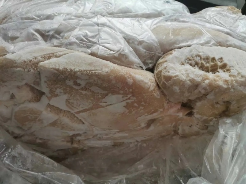 牛肚厂家直销欢迎考察屠宰加工一体化对接批发商