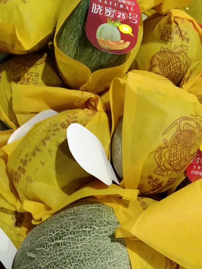 哈密瓜海南哈密瓜精品小密二十五号
