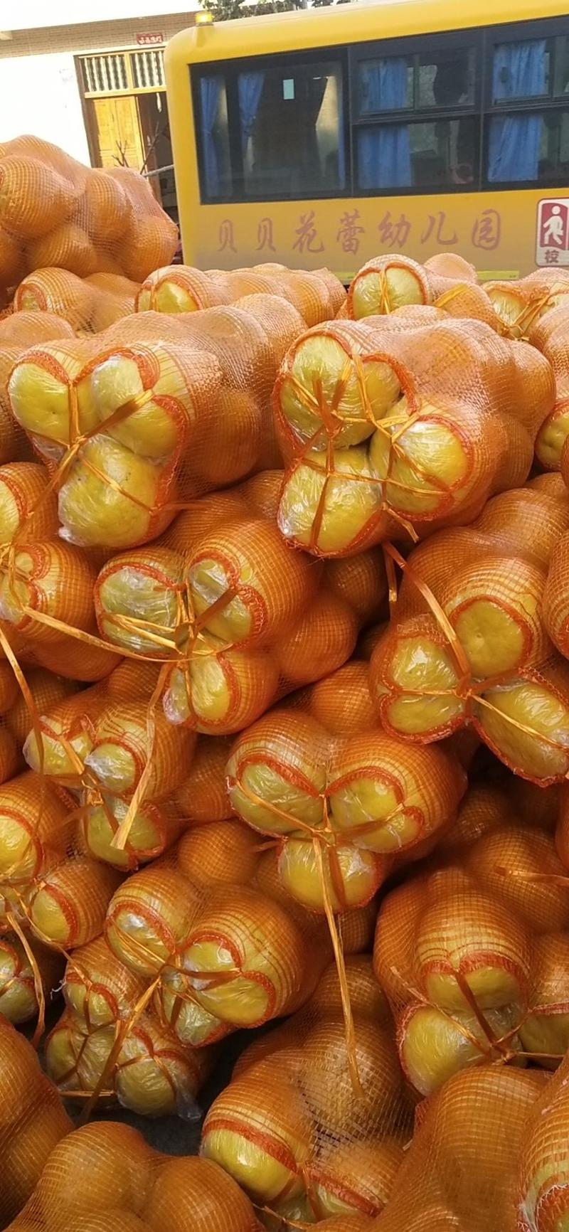 正宗江永香柚，大量供应价格优惠