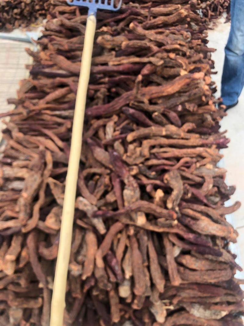 精品锁阳新货大量批发，场地直销货好特惠各种规格欢迎咨询