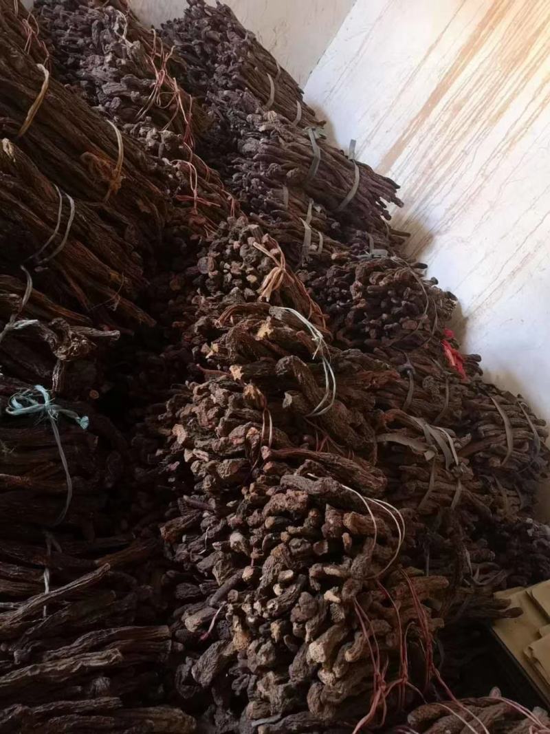 精品锁阳新货大量批发，场地直销货好特惠各种规格欢迎咨询
