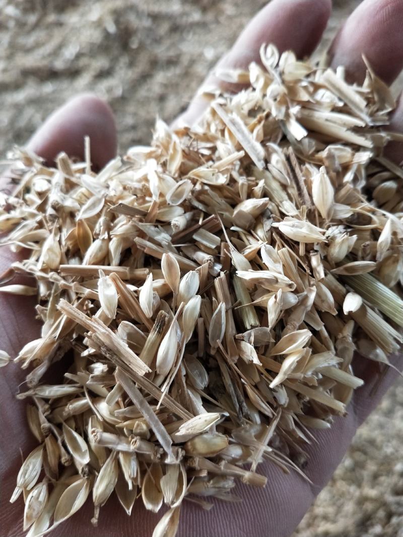 优质麦糠，大量有货，要的联系，