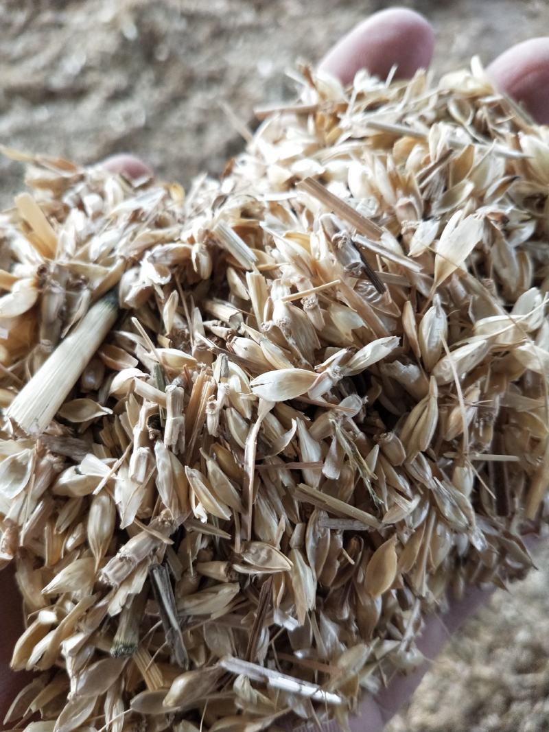优质麦糠，大量有货，要的联系，