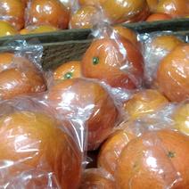 血橙出售有需要的我，血橙是橙累，营养丰，水份充足含有
