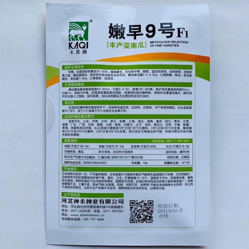 南瓜种子嫩早9号早熟嫩瓜圆球形口感鲜嫩味浓