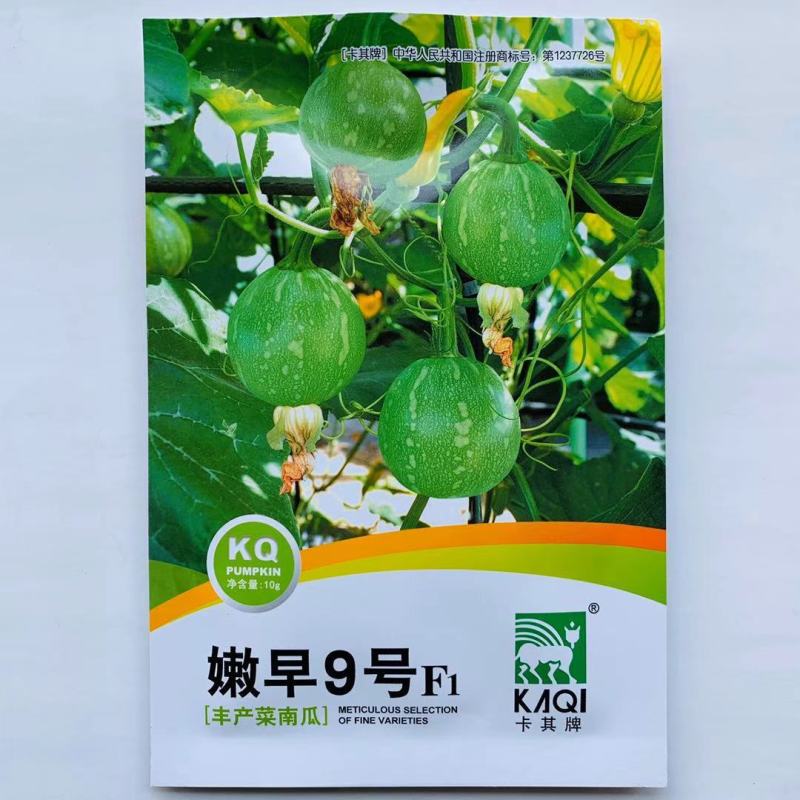 南瓜种子嫩早9号早熟嫩瓜圆球形口感鲜嫩味浓