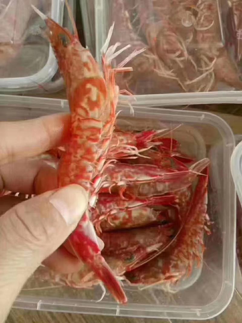 台海樱花虾，活冻品质，半斤/盒，15-17条左右