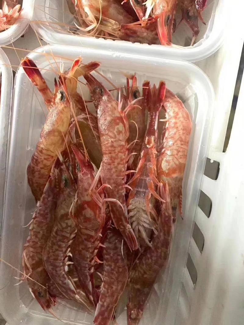 台海樱花虾，活冻品质，半斤/盒，15-17条左右