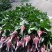 混色月季苗花卉观花绿植物阳台盆栽大花浓香月季