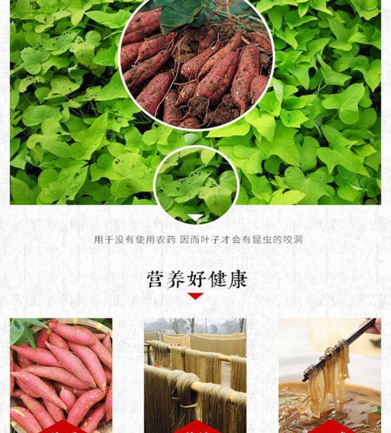 农家纯手工制作红薯粉条宽粉条酸辣粉条火锅粉