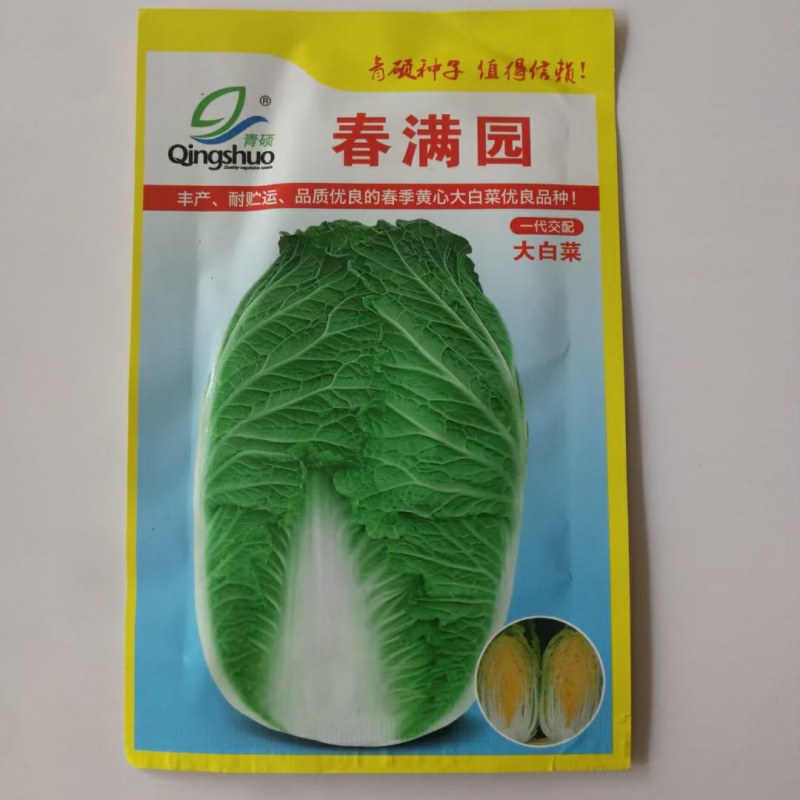 大白菜种子春满园早春专用品种种子