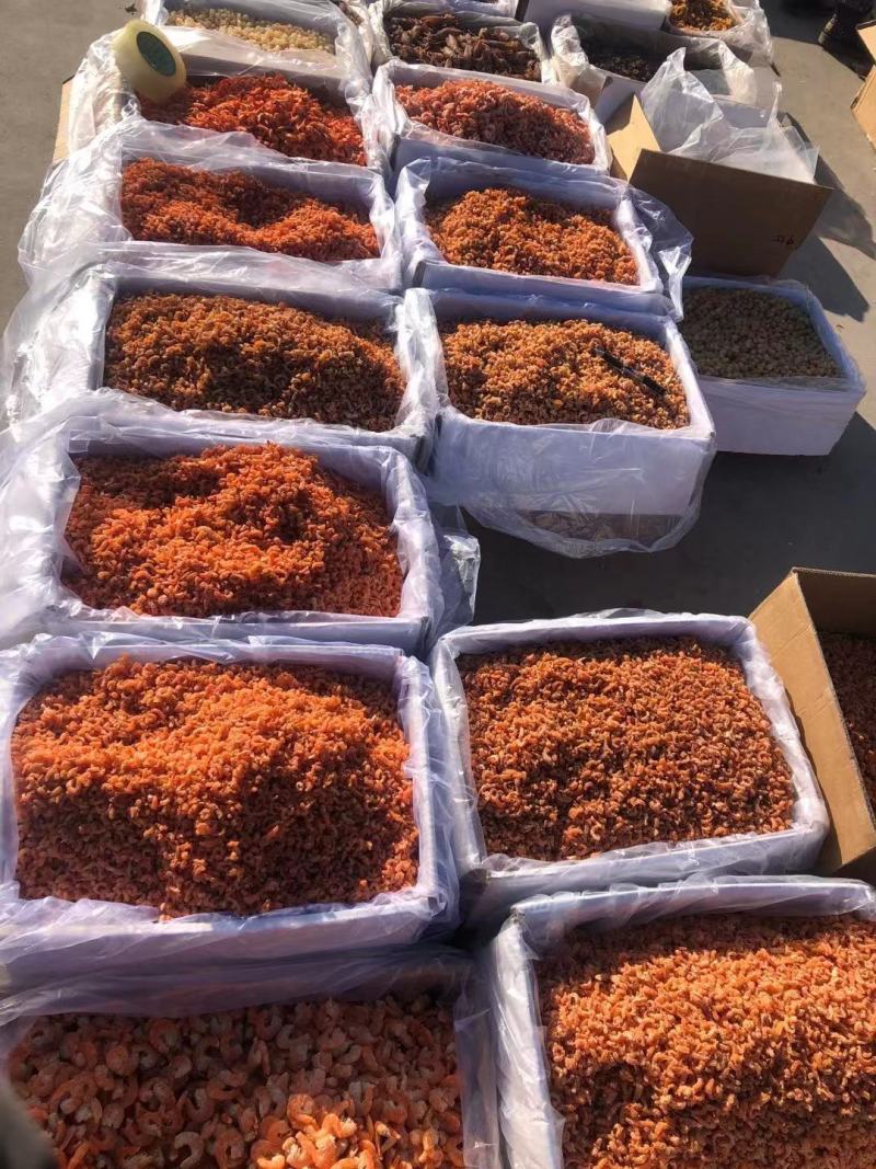金钩海米，多种规格可选！大量现货，保证质量！