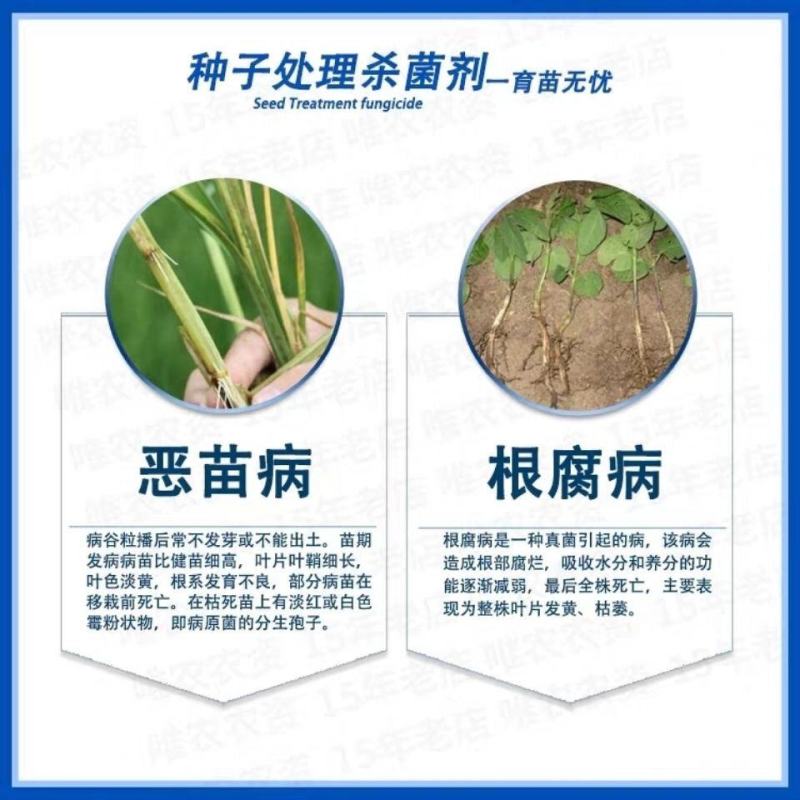 瑞士先正达亮盾精甲霜灵咯菌腈种衣剂10ml拌种剂根腐病