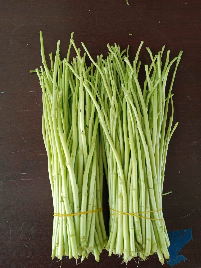精品净耗毛耗大量上市