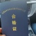 八角金盘，八角金盘小苗，云南八角金盘苗圃直销，绿化苗木