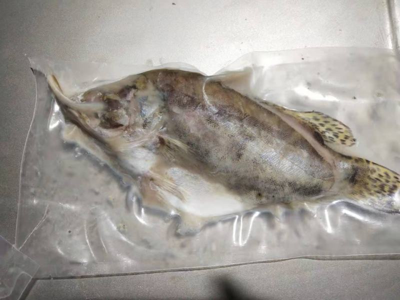 桂花鱼，臭鳜鱼。臭鳜鱼。大力推广哦。，，，，，，