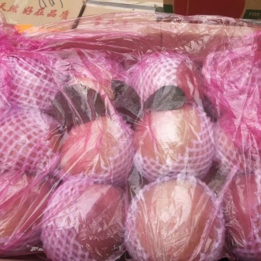 八零起步前期膜袋，冷库货