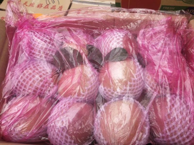 八零起步前期膜袋，冷库货