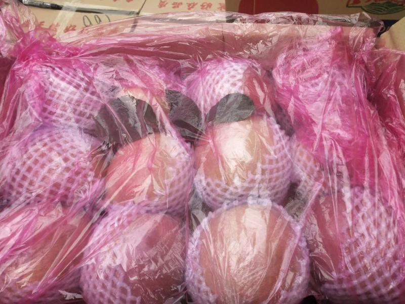八零起步前期膜袋，冷库货