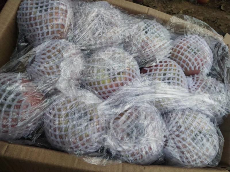 八零起步前期膜袋，冷库货