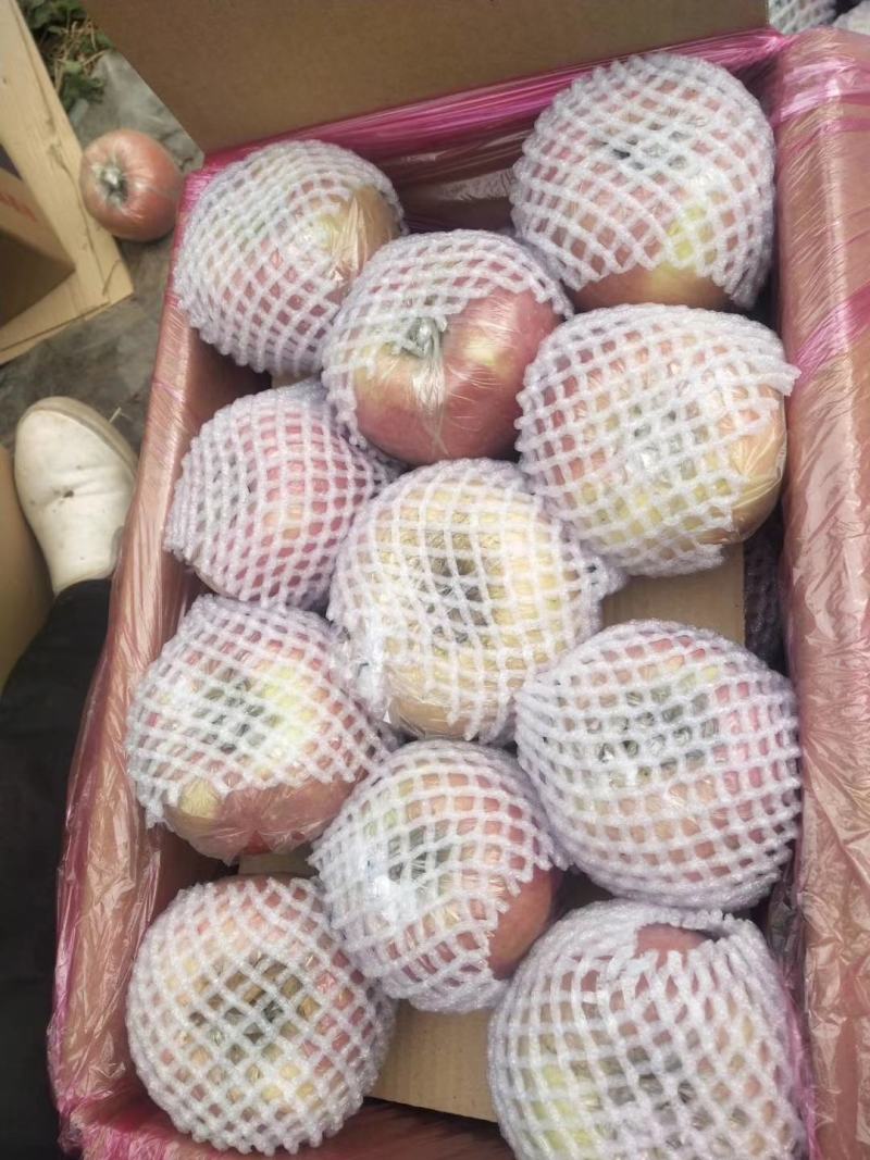 八零起步前期膜袋，冷库货