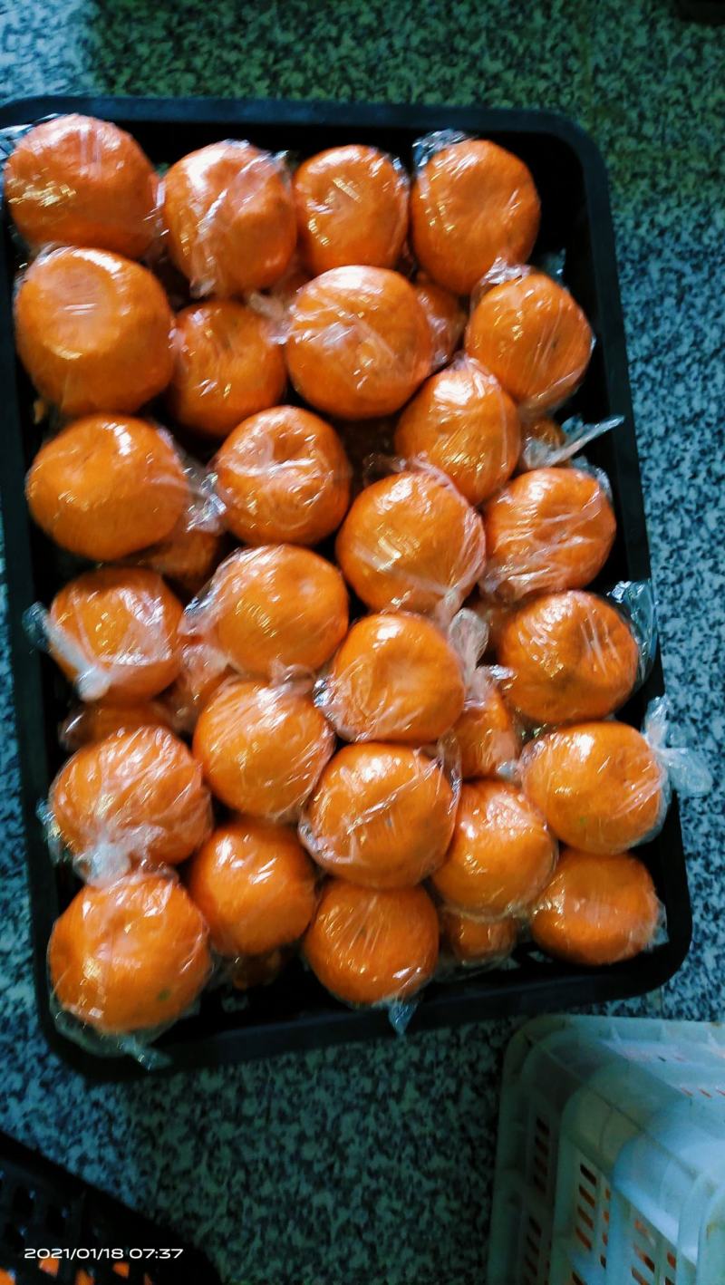 湖南湘西椪柑，个大味甜水份足口感甜易化渣，颜色红