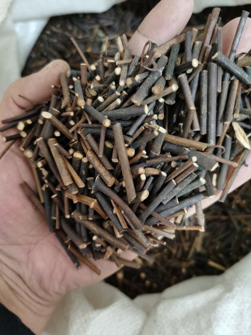 钩藤双钩蒸过的标准货药厂标准货大货供应
