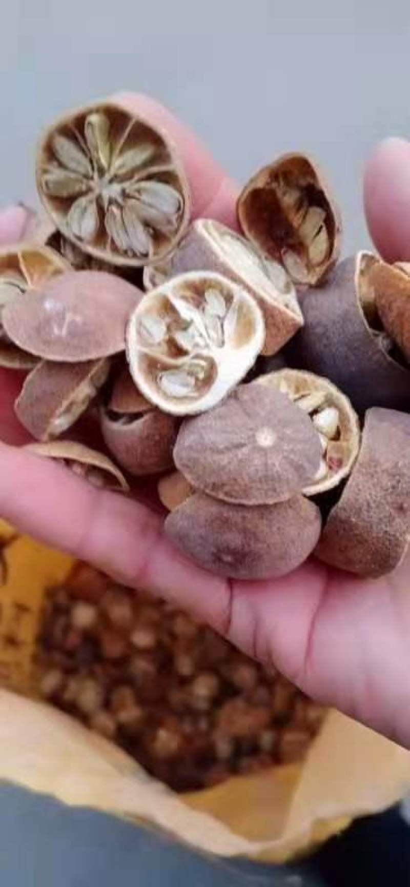 香缘枳实枳壳香元无杂身干，色好质优价廉质优欢迎咨询采