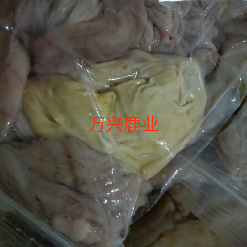 鹿肠子，鹿肠子，鹿肠子，新鲜梅花鹿鹿肠子！