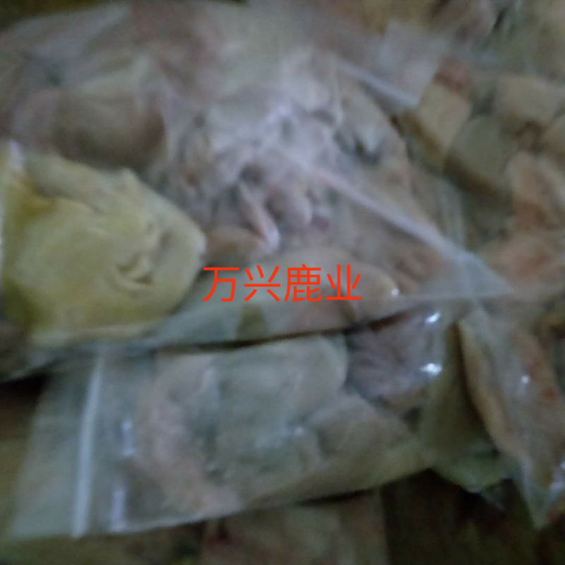 鹿肠子，鹿肠子，鹿肠子，新鲜梅花鹿鹿肠子！
