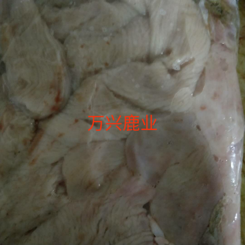 鹿肠子，鹿肠子，鹿肠子，新鲜梅花鹿鹿肠子！