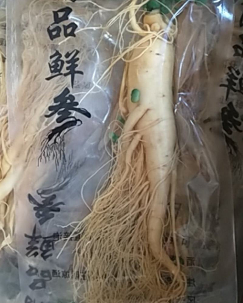 包邮鲜人参长白山人参八年生鲜参过年泡酒炖汤整支鲜人参参汤