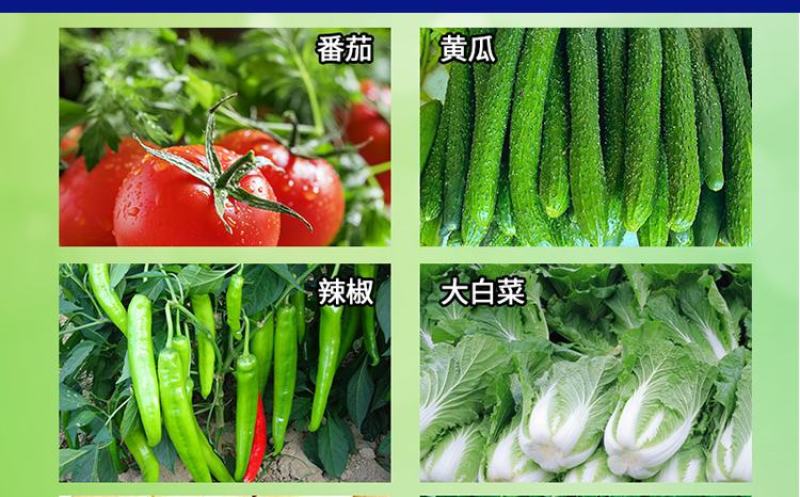 烯酰霜尿氰50%原厂原证100克疫病霜霉病