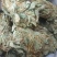 金钱草～新货扎把新货～1公斤起售～量大优惠～