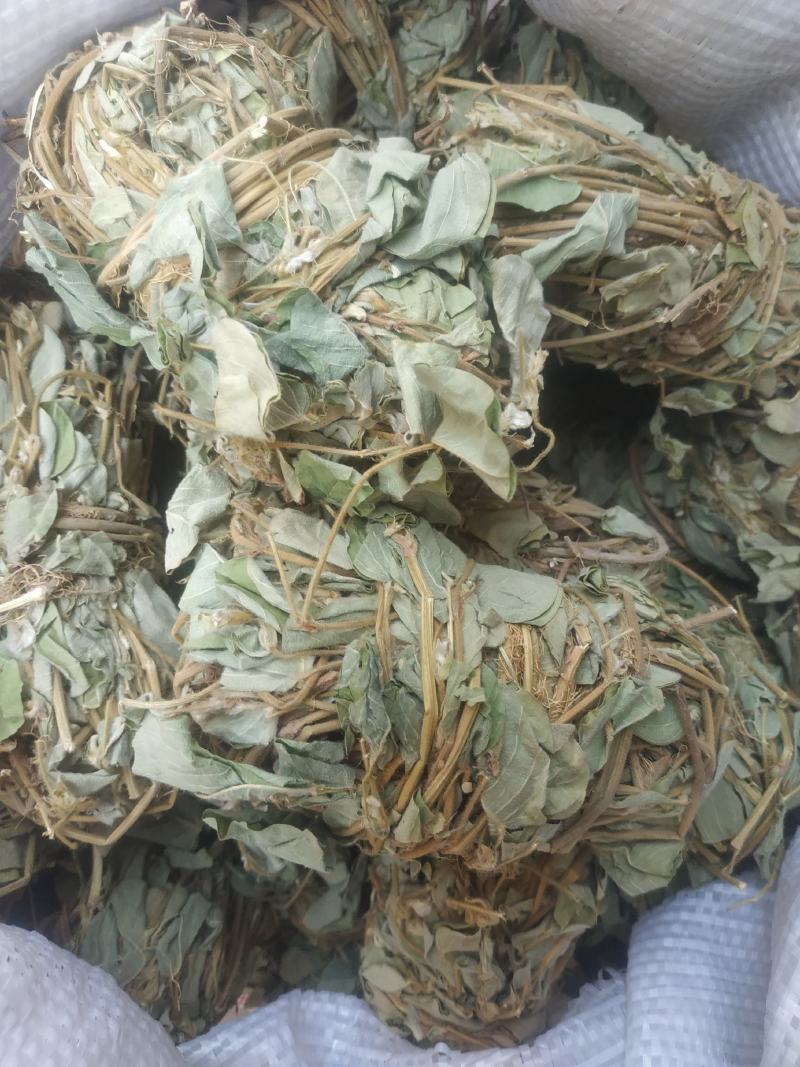 金钱草～新货扎把新货～1公斤起售～量大优惠～