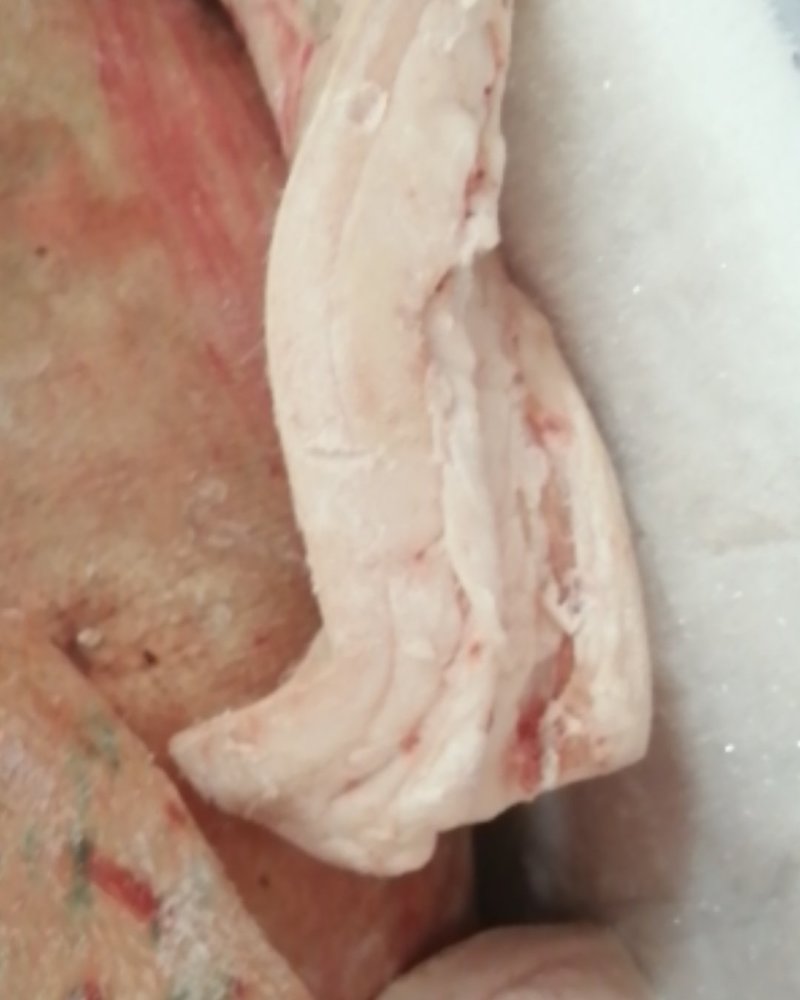 新鲜肥膘，市场上收回来的，货源充足，生鲜食品不退不换