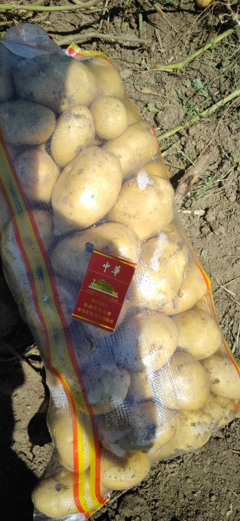 黄金薯尤金，荷兰，土延，新佳，微7土豆3两以上精品