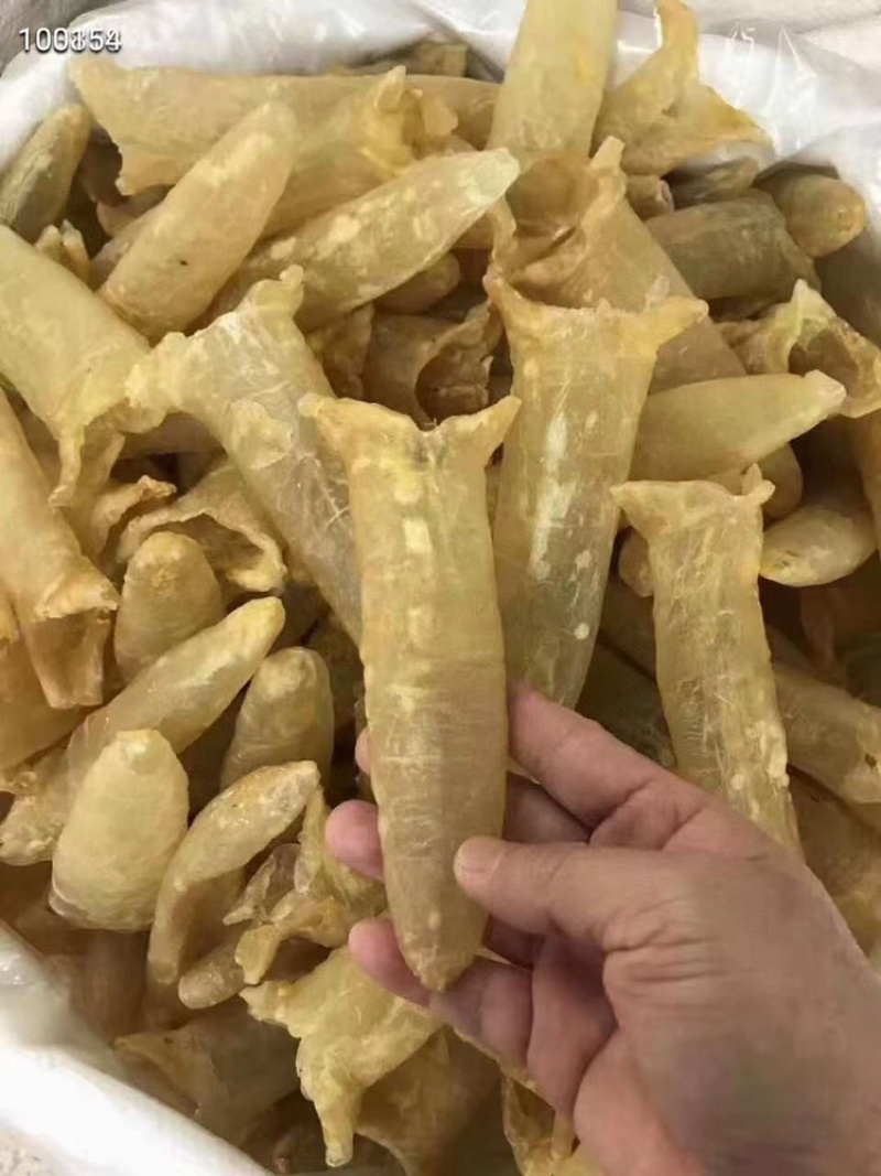 25头鱼胶特肉厚无污染零添加鱼胶价格实惠