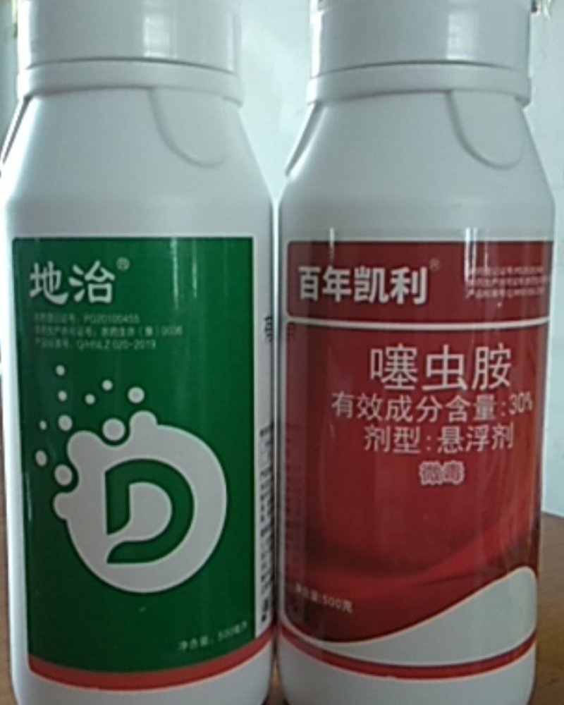 氟啶脲噻虫胺组合防治黑头蛆低毒无公害地上防治稻飞虱黑头蛆