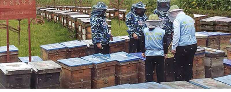 江西老家自产土特产土蜂蜜长期供应礼盒装量大优惠