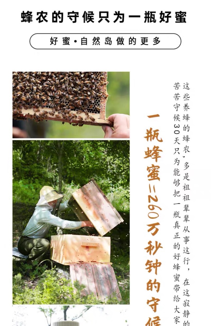 江西老家自产土特产土蜂蜜长期供应礼盒装量大优惠