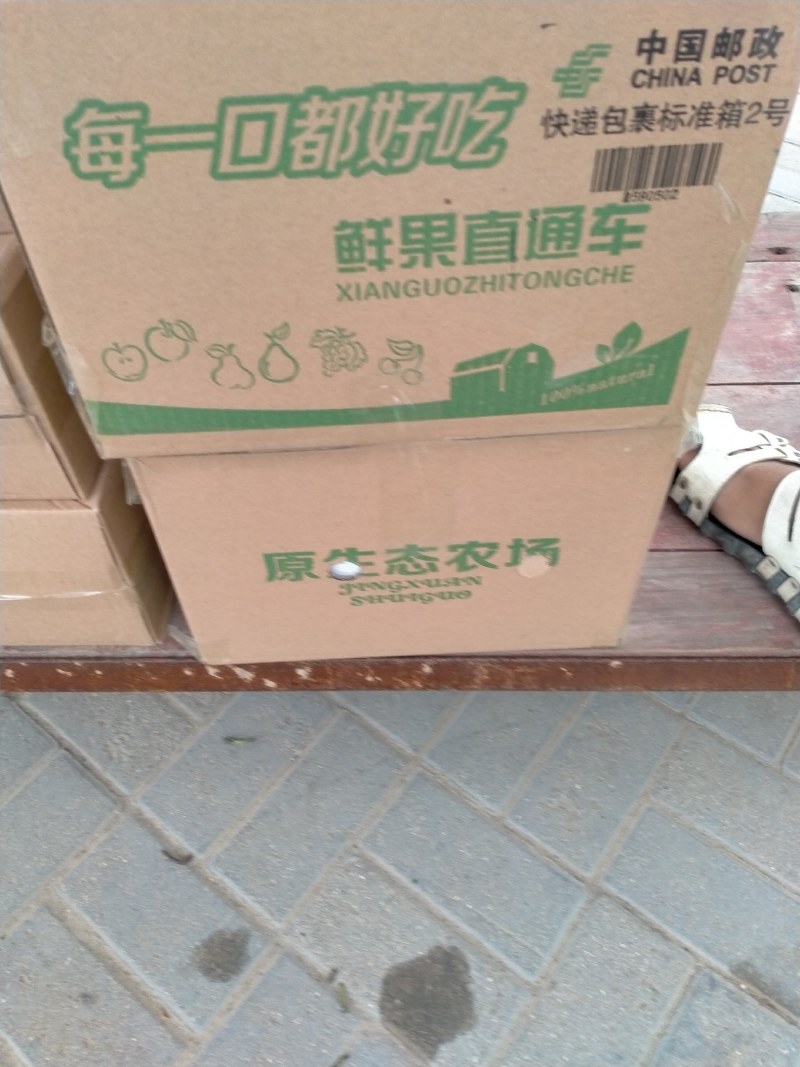 宁陵县石桥镇酥梨一件代发，十斤装，规格齐全，欢迎下单采购