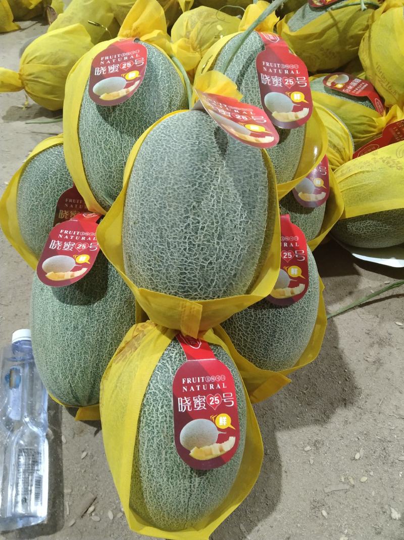 哈密瓜海南哈密瓜精品小密二十五号