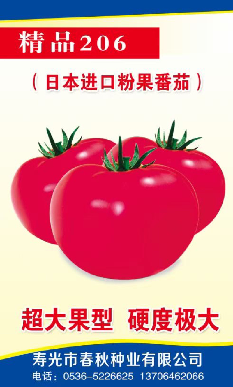 【精品】江苏种子番茄种子日本进口粉果番茄种子