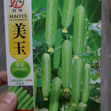 一代交配，成都好特园艺出品，美玉黄瓜种子。