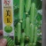 一代交配，成都好特园艺出品，美玉黄瓜种子。
